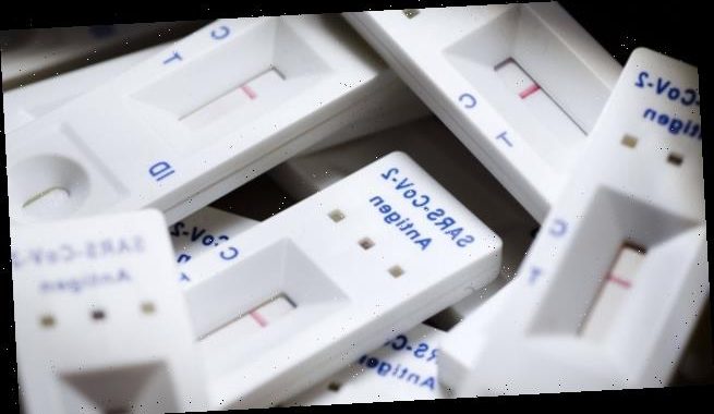 Virologe zweifelt an Ergebnissen der PEI-Schnellstudie