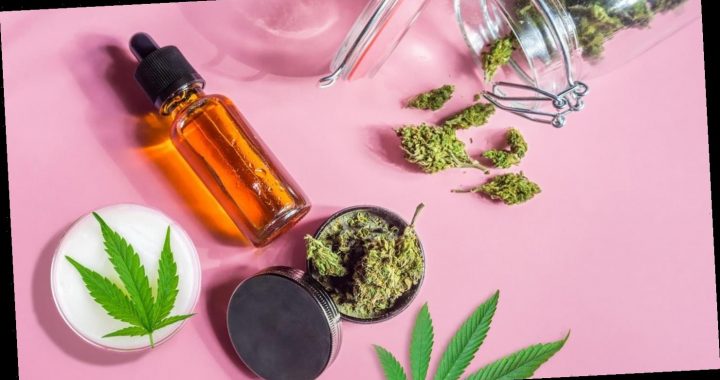 Welche Wirkung hat CBD wirklich? Und was muss man als Verbraucher beachten?