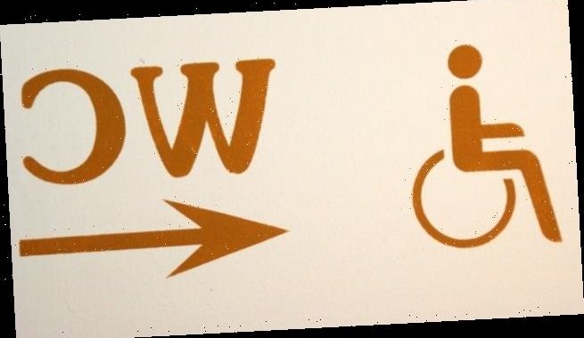 Game of Thrones für Hartgesottene – die behindertengerechte Toilette