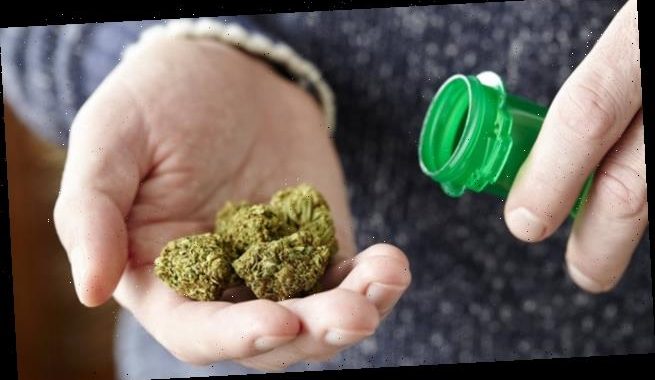 Das bekommen Apotheken jetzt für BfArM-Cannabis