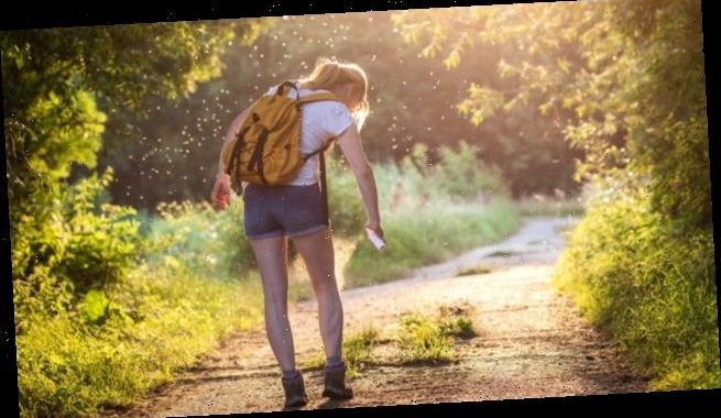 Wie viel Evidenz steckt in Repellents?