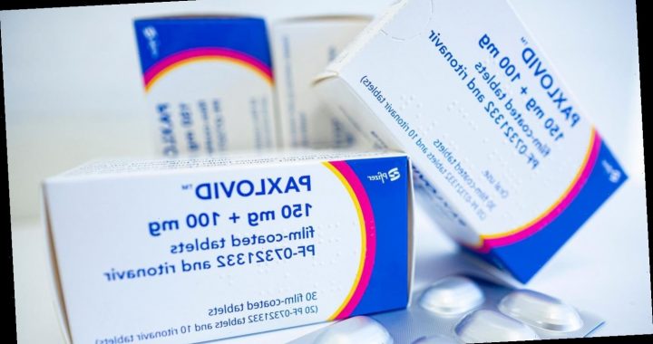 Corona-Medikament Paxlovid in Deutschland kaum nachgefragt – Hunderttausenden Packungen droht Vernichtung