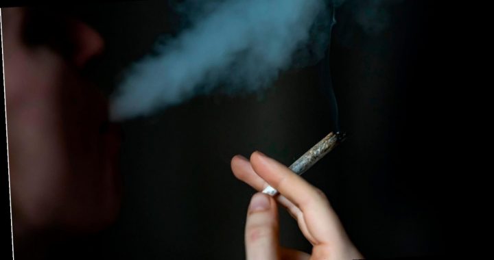 Cannabis-Legalisierung: Besitz von 20 Gramm soll künftig straffrei sein