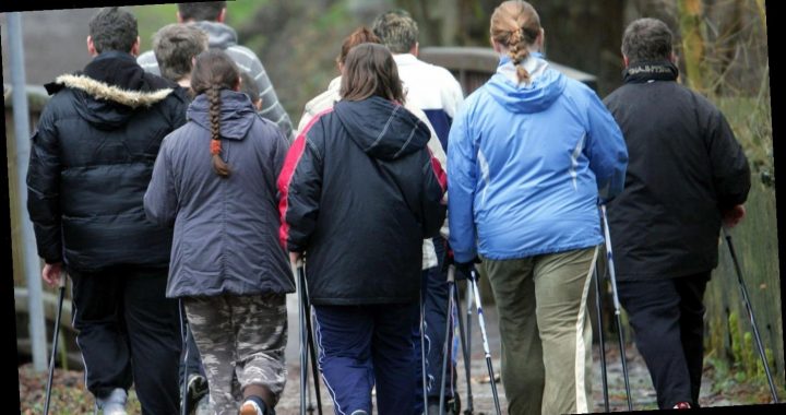 Überflüssige Kilos: Immer mehr Kinder leiden an krankhaftem Übergewicht